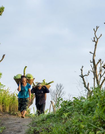 53376255337_486bb38239_b