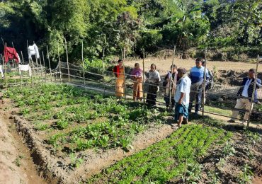Agriculture Officer filed Visit at Sadar Union
