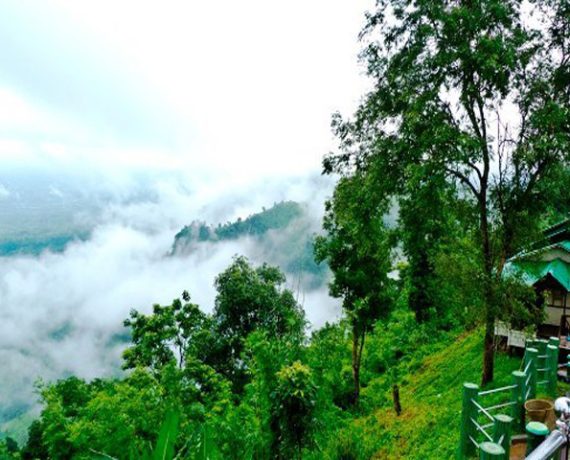 Nilgiri-bandarban